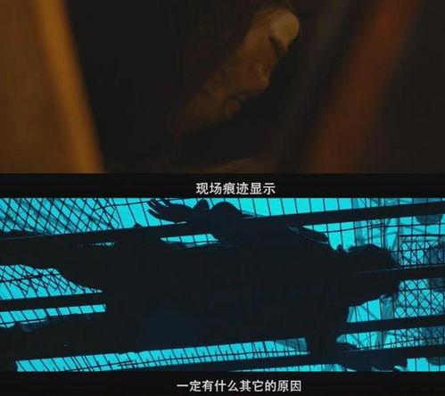 国产浮力影视,探索水下世界的奇幻之旅